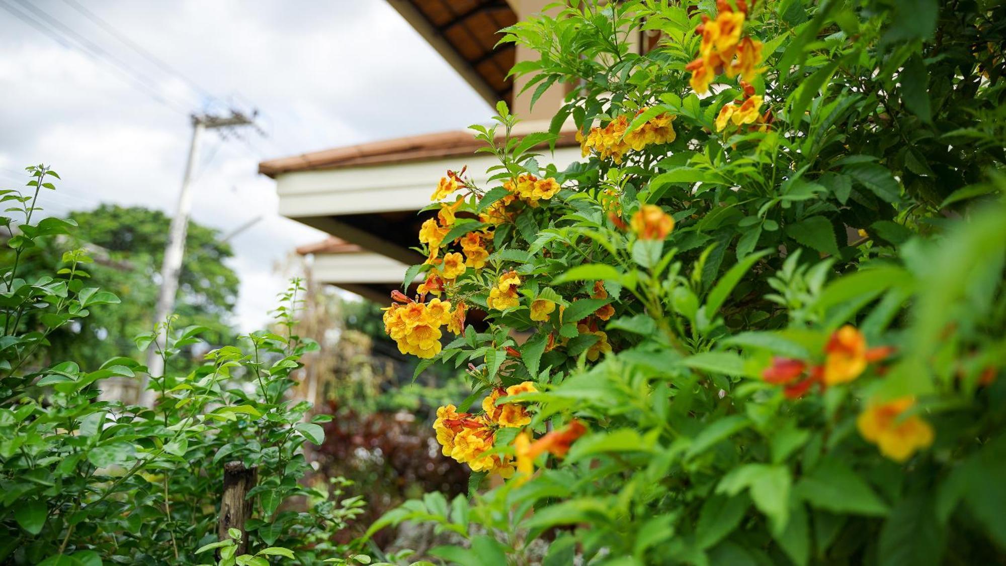 Laph Kham House Aparthotel Chiang Mai Buitenkant foto
