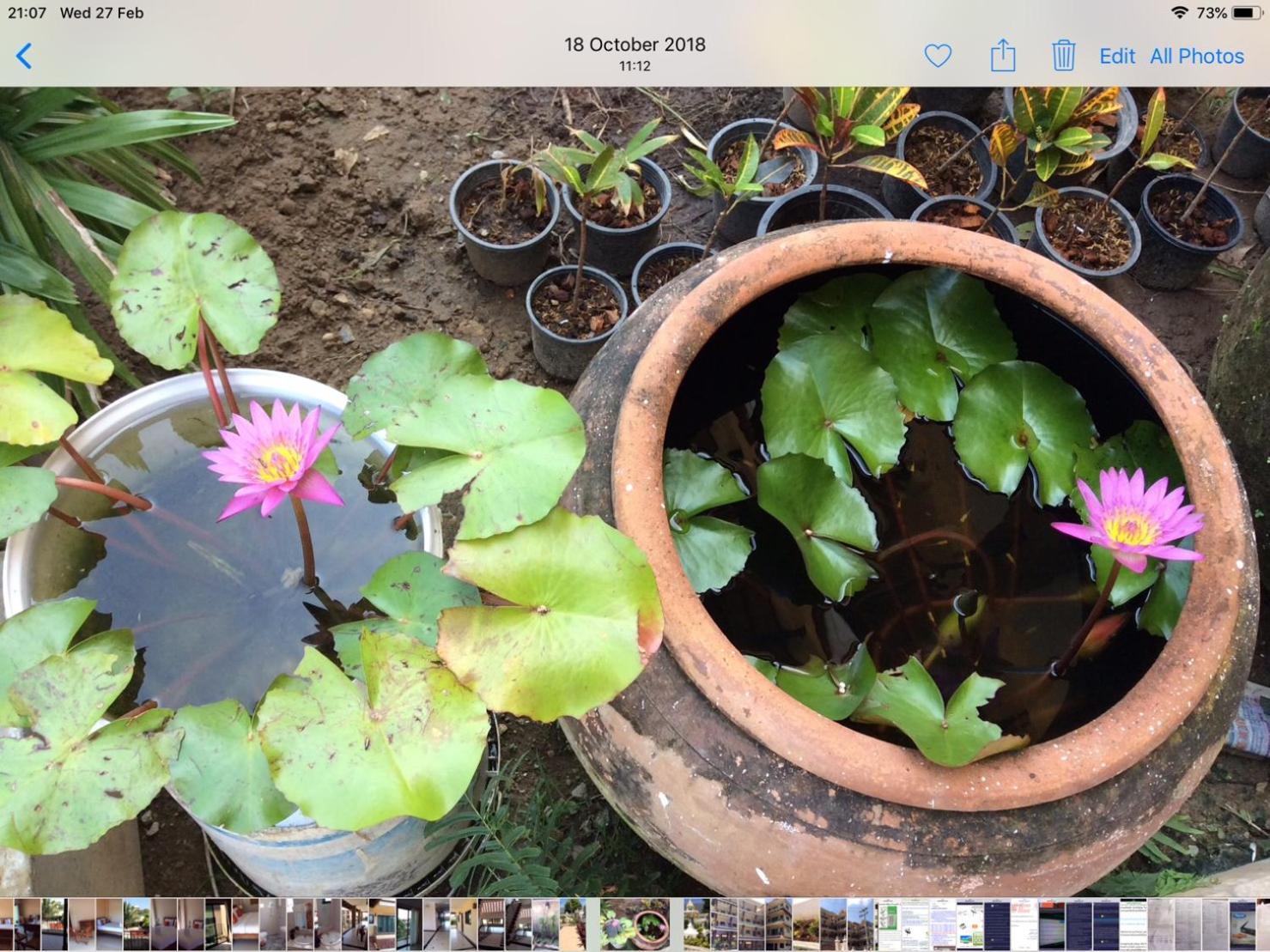 Laph Kham House Aparthotel Chiang Mai Buitenkant foto