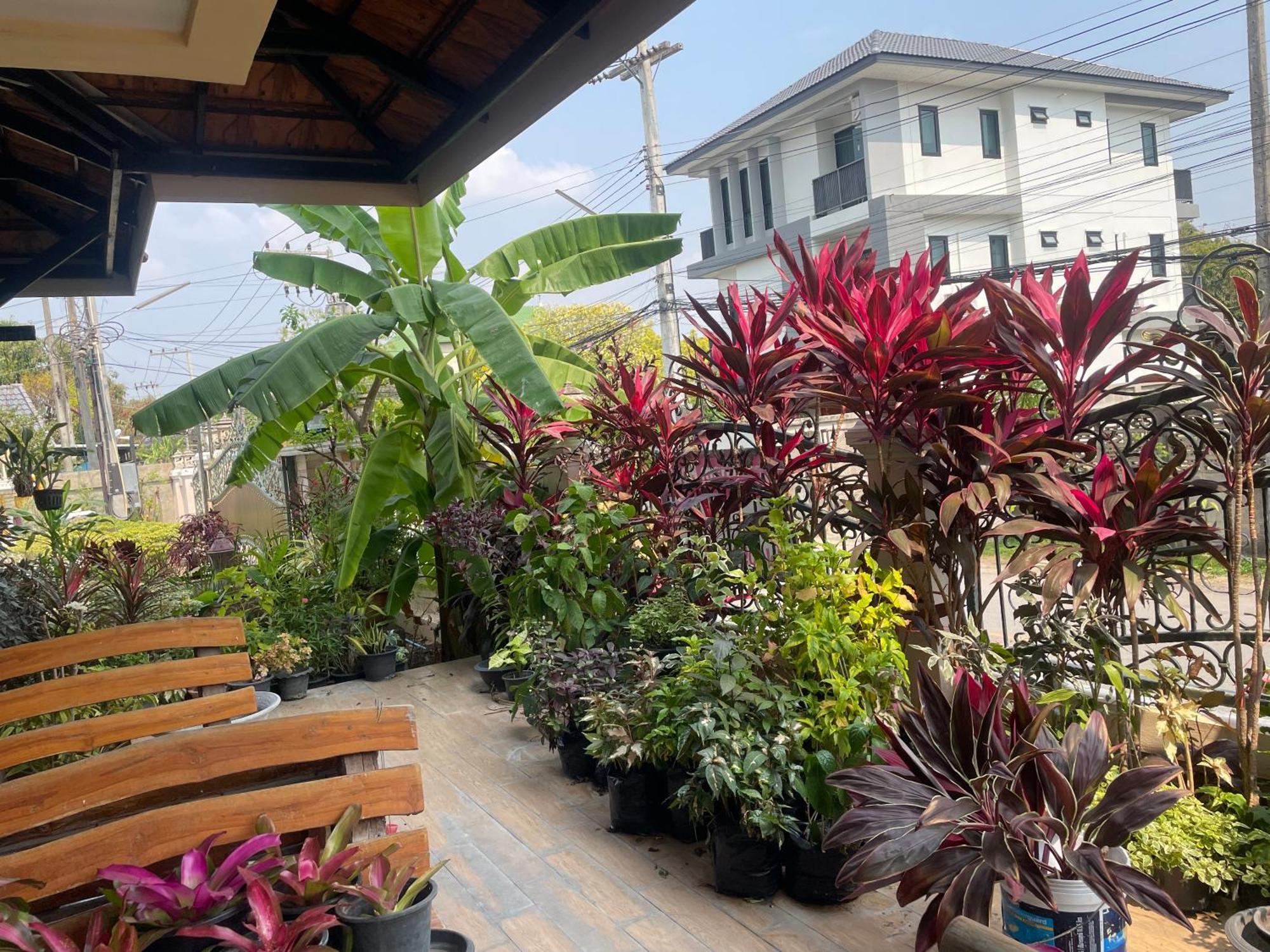 Laph Kham House Aparthotel Chiang Mai Buitenkant foto